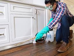 Best Pest Prevention Services  in USA